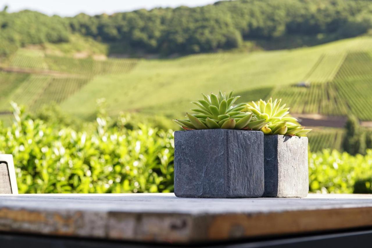 Weingut & Gaestehaus Christoph Cluesserath Trittenheim Eksteriør billede