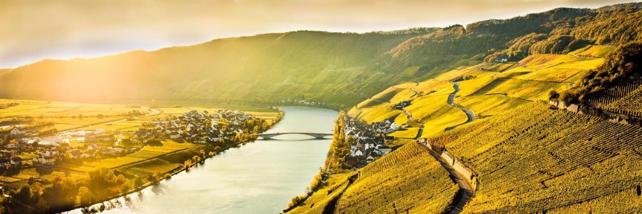 Weingut & Gaestehaus Christoph Cluesserath Trittenheim Eksteriør billede