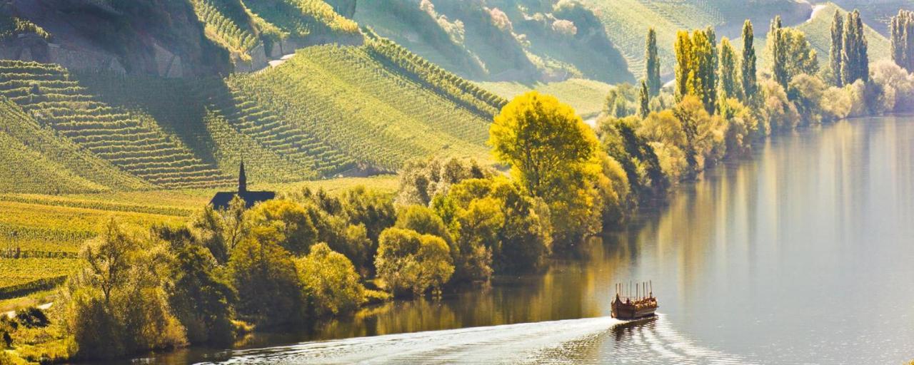 Weingut & Gaestehaus Christoph Cluesserath Trittenheim Eksteriør billede